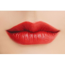 Lipstick 3CE RED RECIPE 488